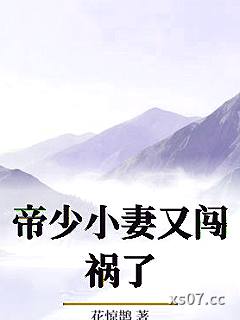 帝少小妻又闯祸了