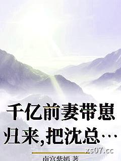 千亿前妻带崽归来,把沈总踢出户口本小说封面-南宫紫嫣-都市
