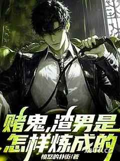 赌鬼，渣男是怎样炼成的小说封面-愤怒的扑街-都市