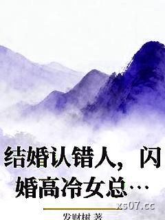 结婚认错人，闪婚高冷女总裁