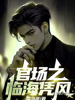 官场之临海凭风小说封面-雷鸟哥-都市