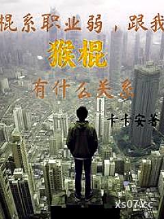 棍系职业弱，跟我猴棍有什么关系小说封面-卡卡安-都市