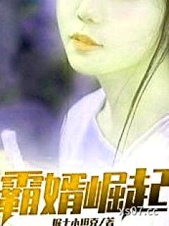 霸婿崛起
