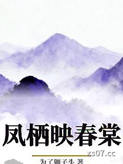 凤栖映春棠小说封面-为了狮子头-言情