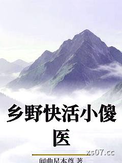 乡野快活小傻医