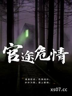 官途危情小说封面-巴山破晓-都市