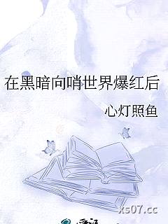 在黑暗向哨世界爆红后小说封面-心灯照鱼-ＢＬ同人