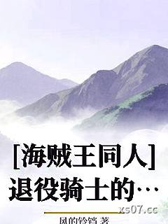 [海贼王同人]退役骑士的航海日志