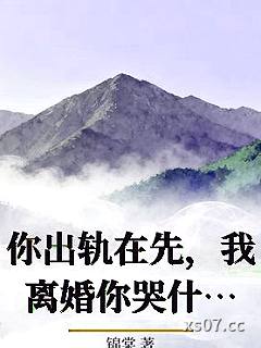 你出轨在先，我离婚你哭什么小说封面-锦棠-言情