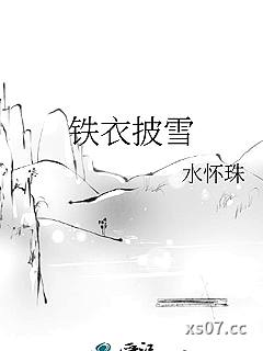 铁衣披雪