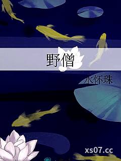 野僧小说封面-水怀珠-言情