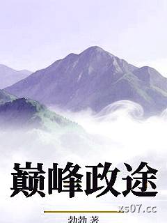 巅峰政途小说封面-勃勃-都市
