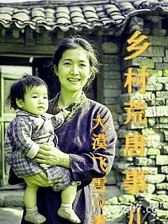 乡村荒唐事儿小说封面-大漠飞雪-都市