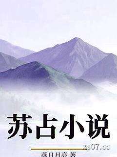 苏占小说