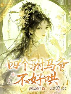 四个驸马爷不好哄