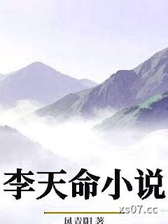 李天命小说小说封面-风青阳-玄幻
