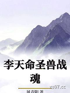 李天命圣兽战魂