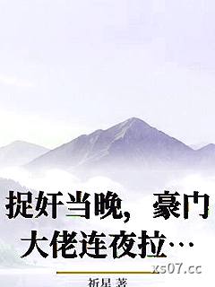 捉奸当晚，豪门大佬连夜拉我扯证小说封面-祈星-言情