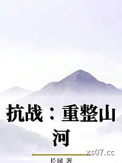 抗战：重整山河小说封面-长风-现代都市