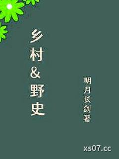 乡村野史小说封面-明月长剑-都市