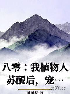 八零：我植物人苏醒后，宠老婆上天小说封面-可可猪-都市