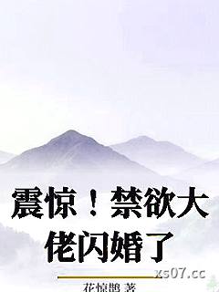 震惊！禁欲大佬闪婚了小说封面-花惊鹊-历史
