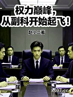 权力巅峰，从副科开始起飞！小说封面-官场赵小二-言情
