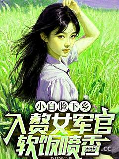 小白脸下乡，入赘女军官软饭喷香小说封面-荔枝冻-都市