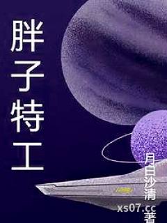 胖子特工小说封面-月白沙清-都市