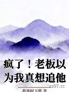 疯了！老板以为我真想追他小说封面-我准时下班-都市