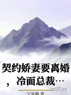 契约娇妻要离婚，冷面总裁却急了小说封面-宁夏静-言情