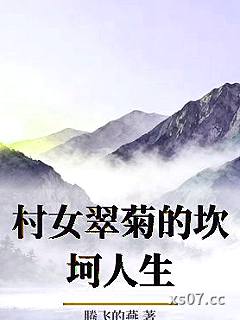 村女翠菊的坎坷人生小说封面-腾飞的燕-言情