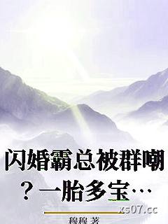 闪婚霸总被群嘲？一胎多宝宠上天小说封面-穆穆-言情