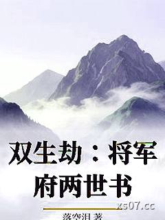 双生劫：将军府两世书小说封面-落空泪-现代都市