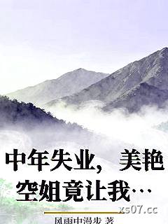 中年失业，美艳空姐竟让我当奶爸小说封面-风雨中漫步-都市