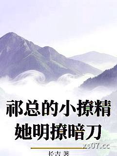 祁总的小撩精她明撩暗刀小说封面-长吉-言情