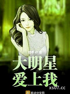 大明星爱上我小说封面-鹅考-都市