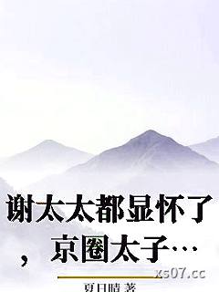 谢太太都显怀了，京圈太子爷还没释怀小说封面-夏日晴-言情