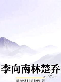 李向南林楚乔