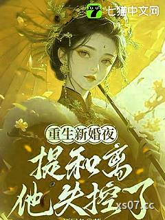 重生新婚夜，提和离他失控了小说封面-酒尾鱼-军事