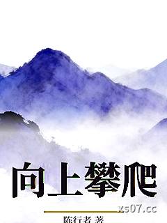 向上攀爬小说封面-陈行者-都市
