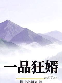 一品狂婿 作者：掘土小坦克 分类：小说