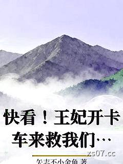 快看！王妃开卡车来救我们了小说封面-矢志不小金鱼-军事