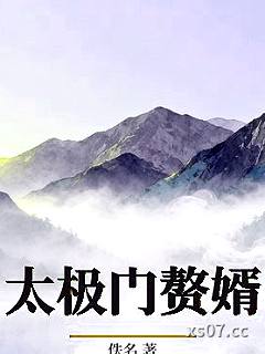 太极门赘婿小说封面-佚名-历史