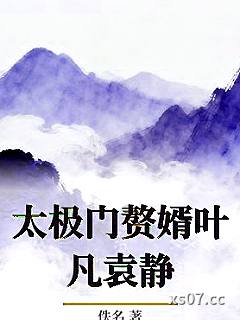 太极门赘婿叶凡袁静小说封面-佚名-历史