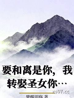 要和离是你，我转娶圣女你哭什么小说封面-梦醒泪殇-玄幻