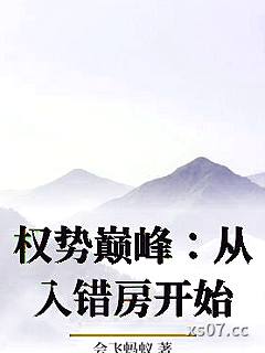 权势巅峰：从入错房开始小说封面-会飞蚂蚁-都市