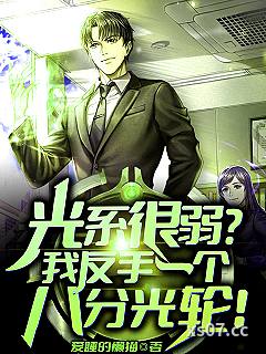 光系很弱？我反手一个八分光轮！小说封面-爱睡的懒猫-都市