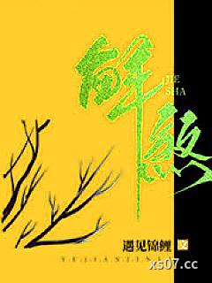 解煞小说封面-遇见锦鲤-军事