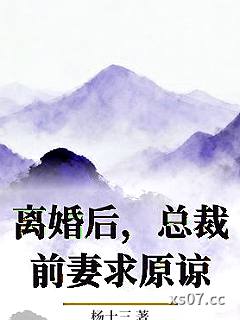 离婚后，总裁前妻求原谅小说封面-杨十三-言情
